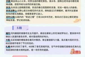 梦到旅游2025年06月05日是什么意思