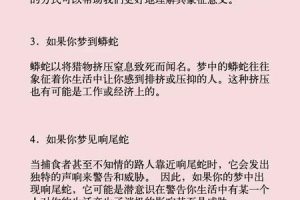 梦到蛇2025年06月04日意味着什么