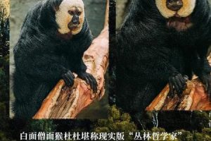 梦到自己小时候2025年06月10日有什么特殊征兆吗
