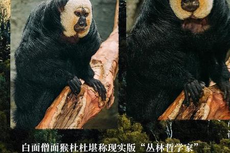 梦到自己小时候2025年06月10日有什么特殊征兆吗